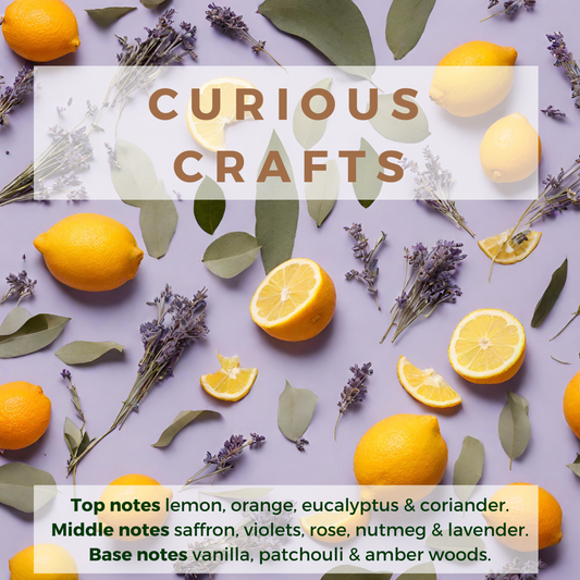 Oil Diffuser - Curious Crafts